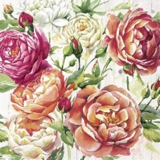 Розы пионовые яркие 33*33 (10шт)